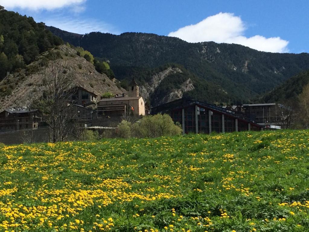 Hotel Ordino Chambre photo
